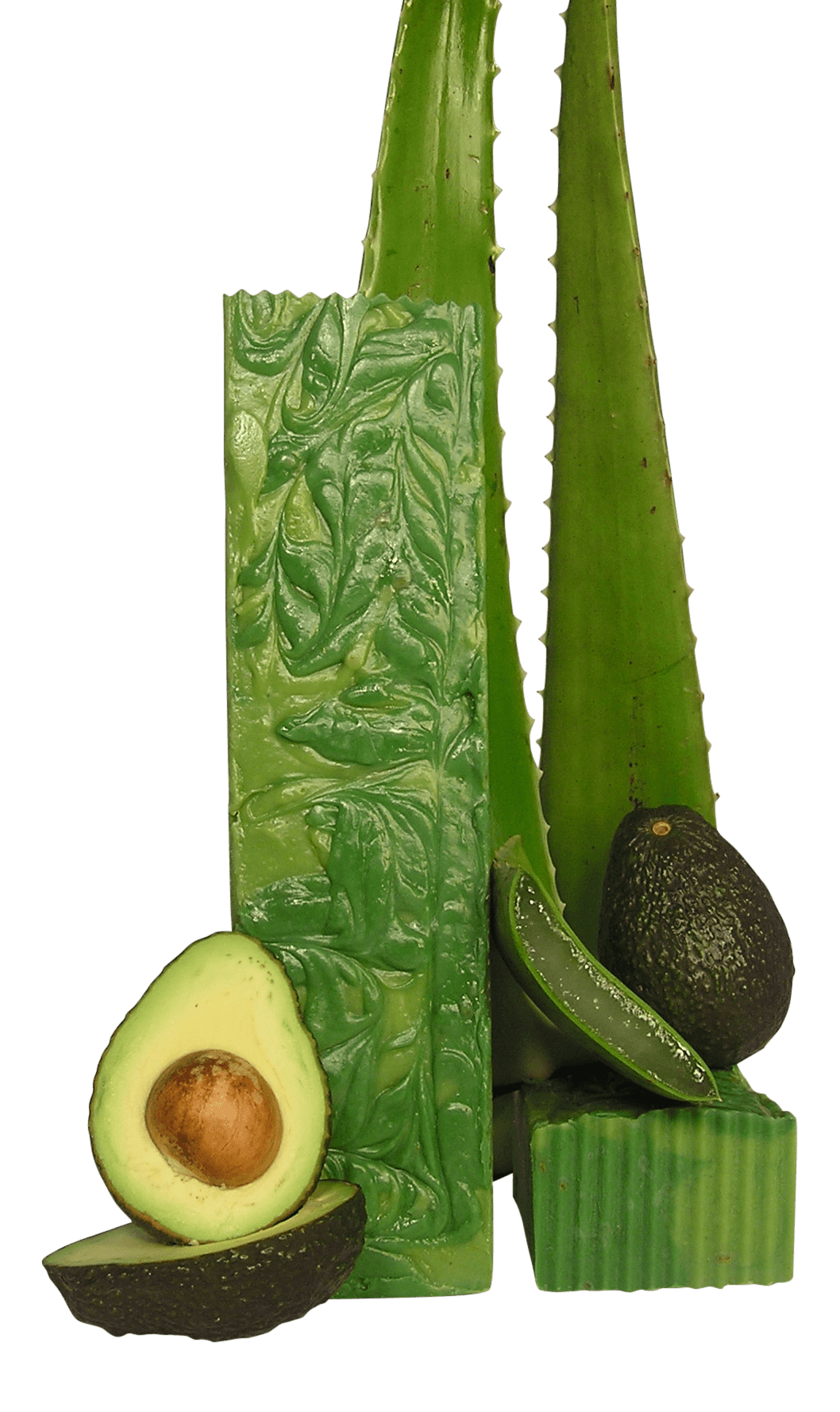Aloe Avocado - Time Gods