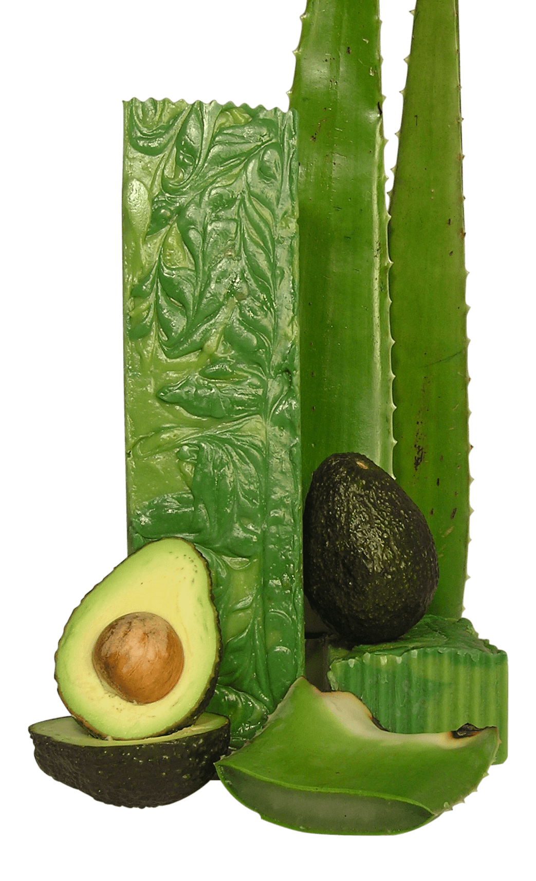 Aloe Avocado - Time Gods