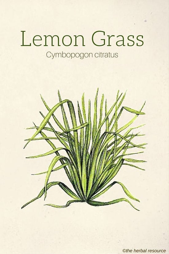 Lemongrass - Aroma Sticks